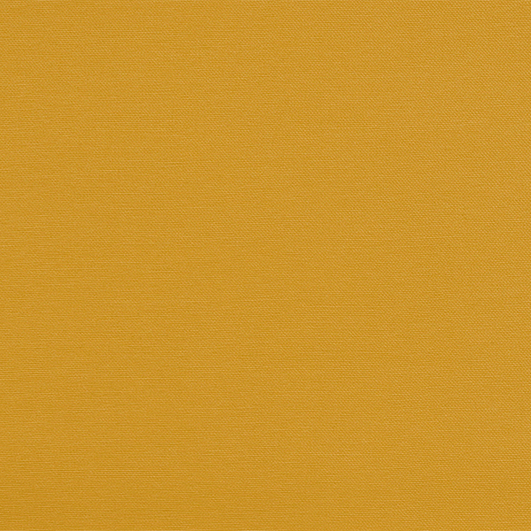 Silvertex Squash