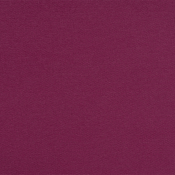 Silvertex Orchid