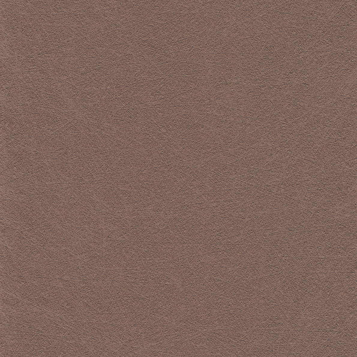 Evida Fiber earth