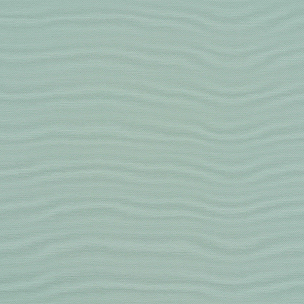 Silvertex Coral