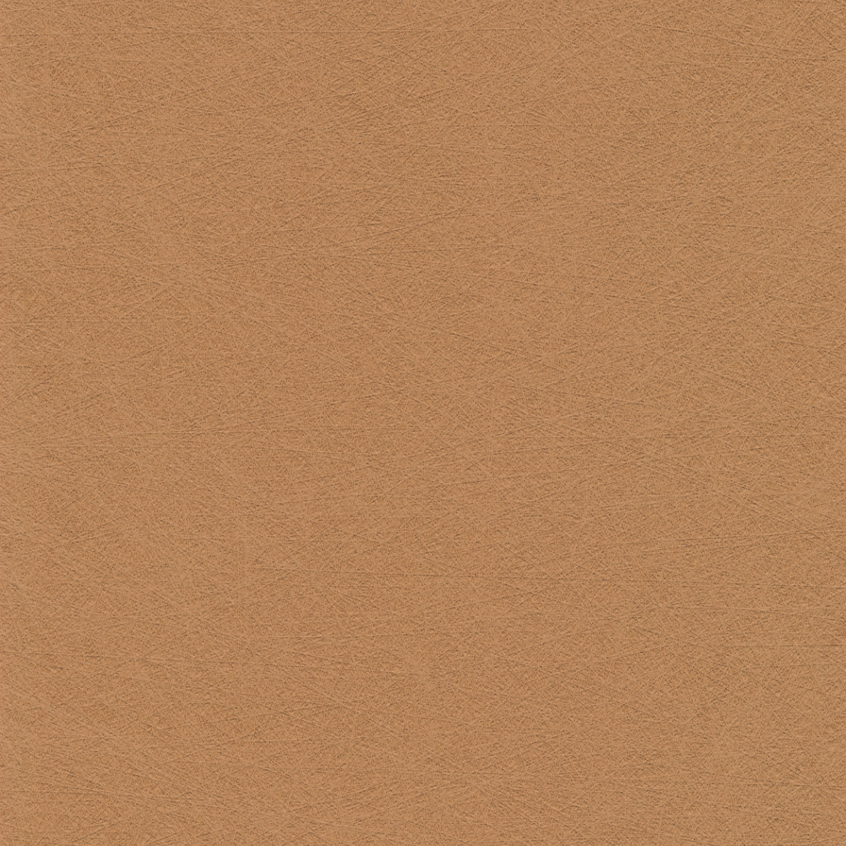 Evida Fiber gobi