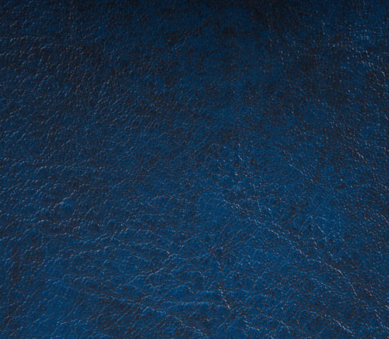 Tinto Memphis Blue