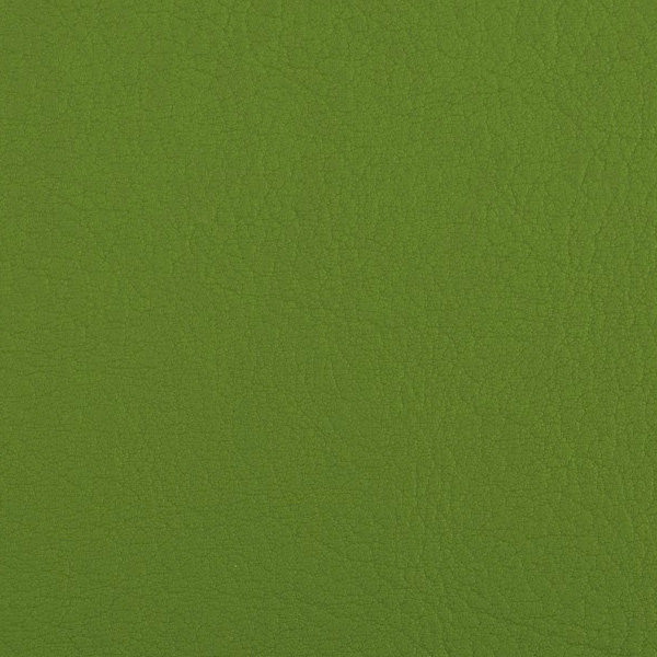 Valencia Olive
