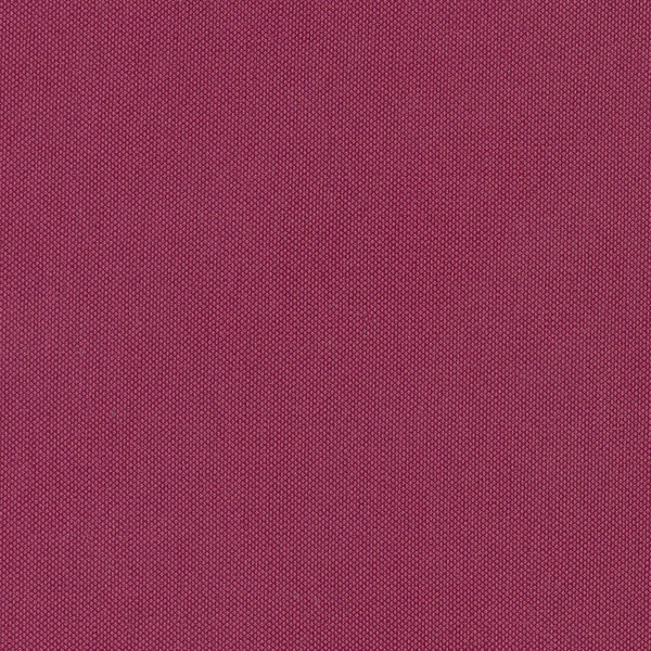 Silvertex Raspberry