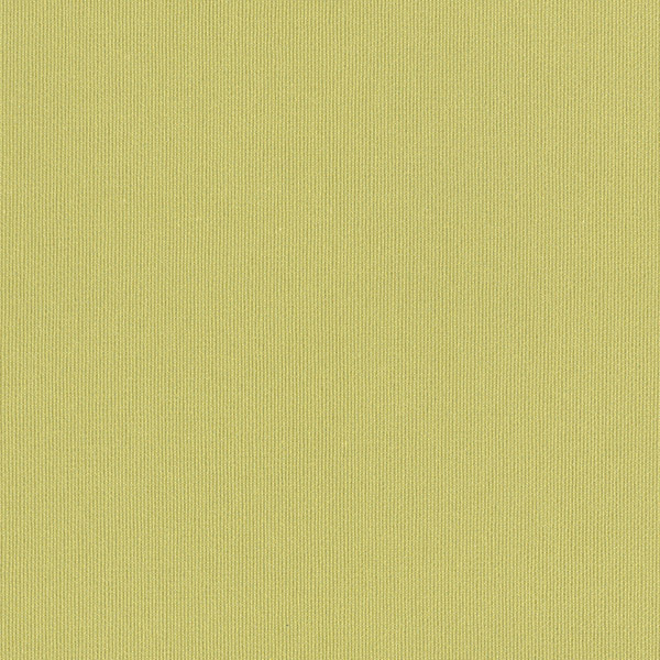 Silvertex Celery