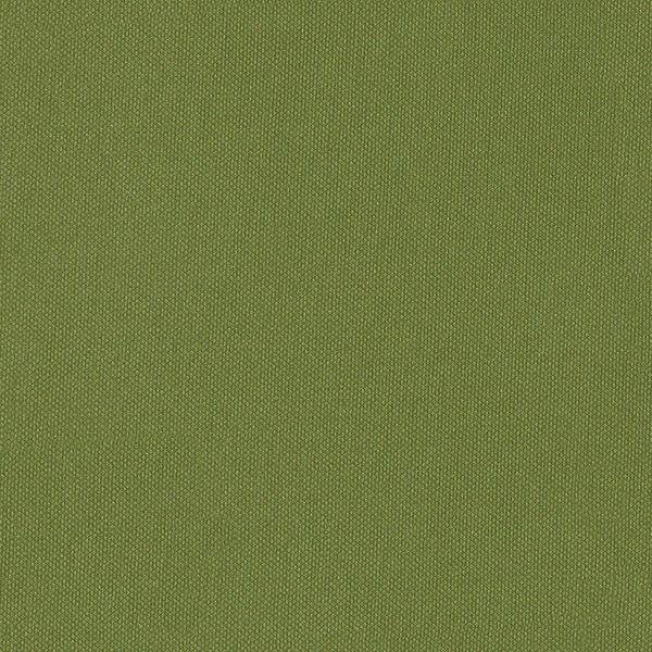 Silvertex Basil