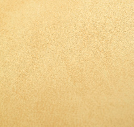 Palma Gobi