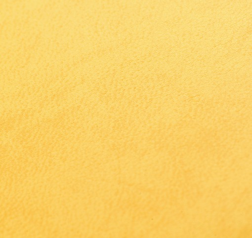 Palma Mimosa