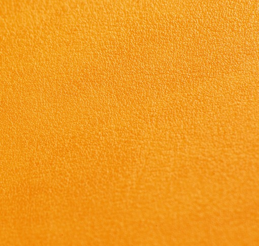 Palma Mango