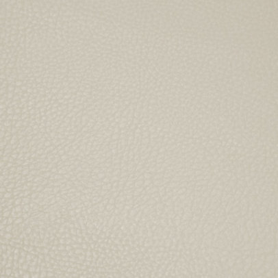 Parotega NF Kiesel