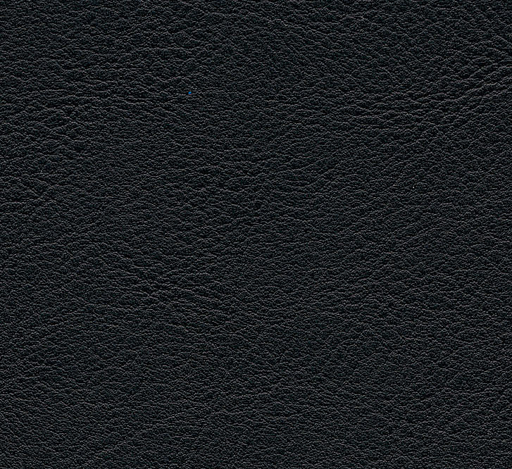 Evida Black