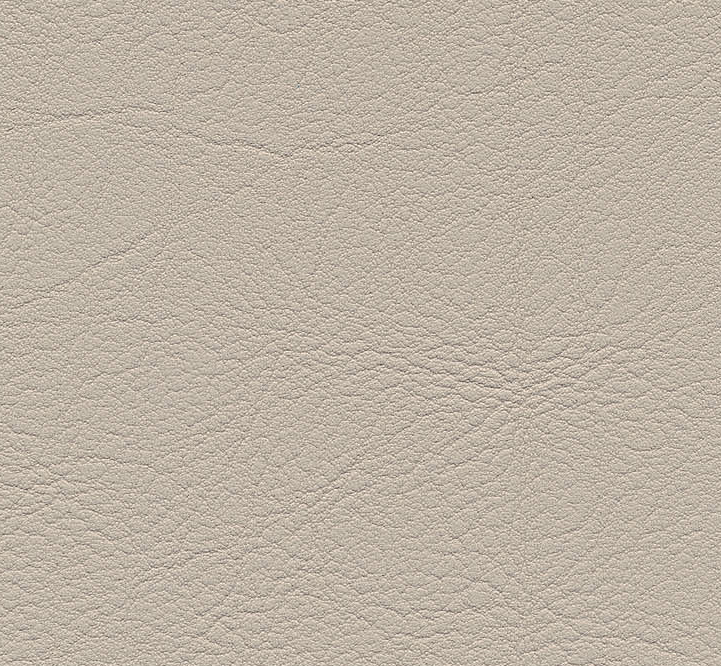 Evida Birch