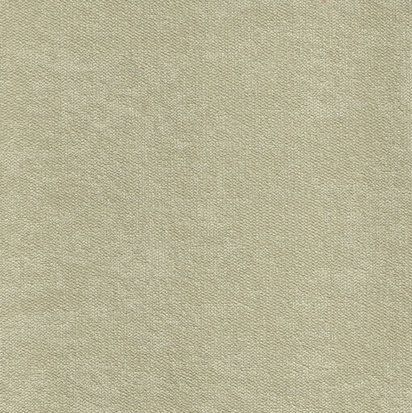 Lamé 019