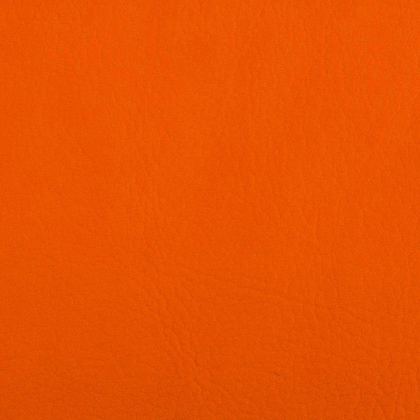 Valencia Orange