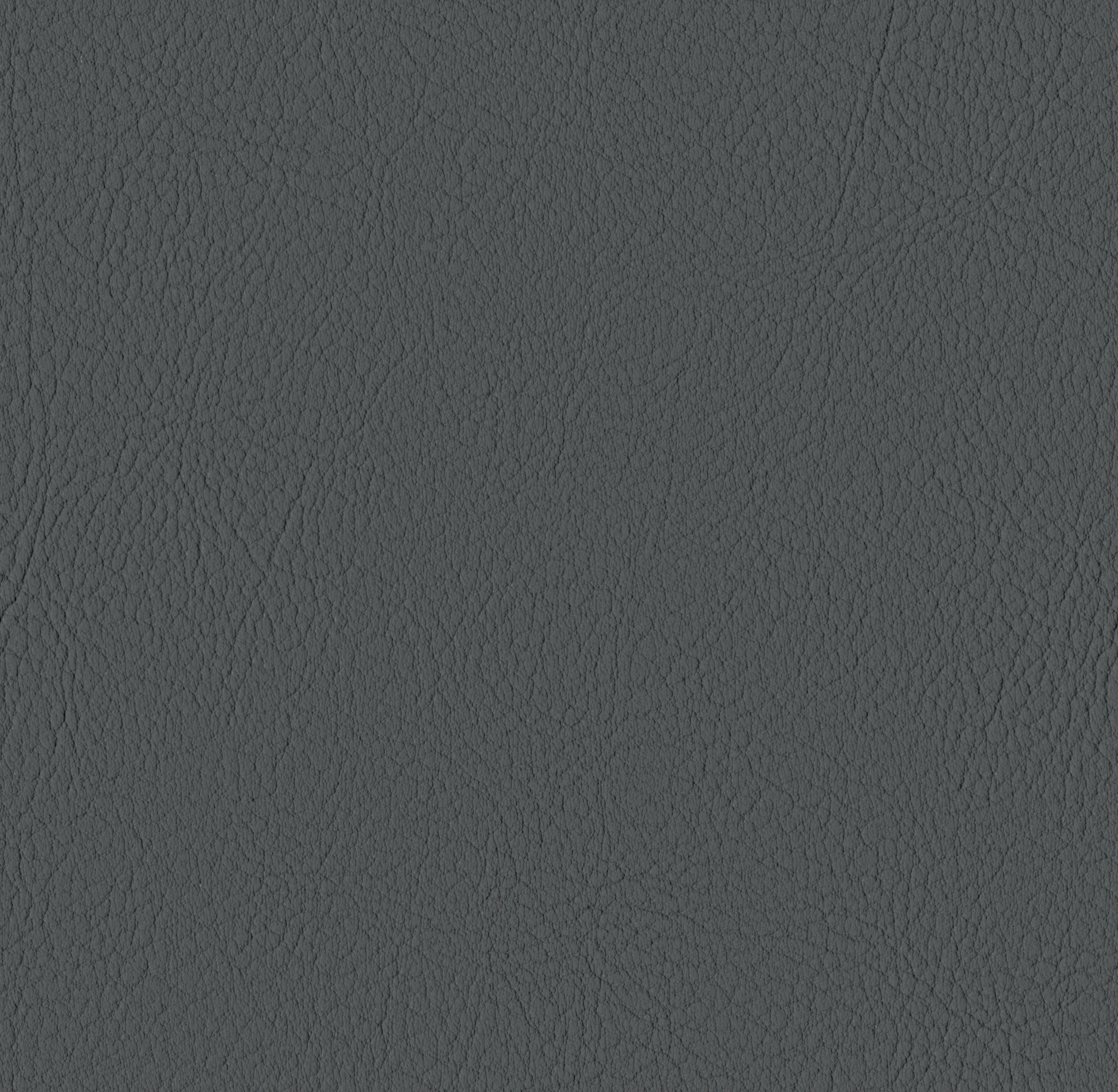 Valencia BS Graphite