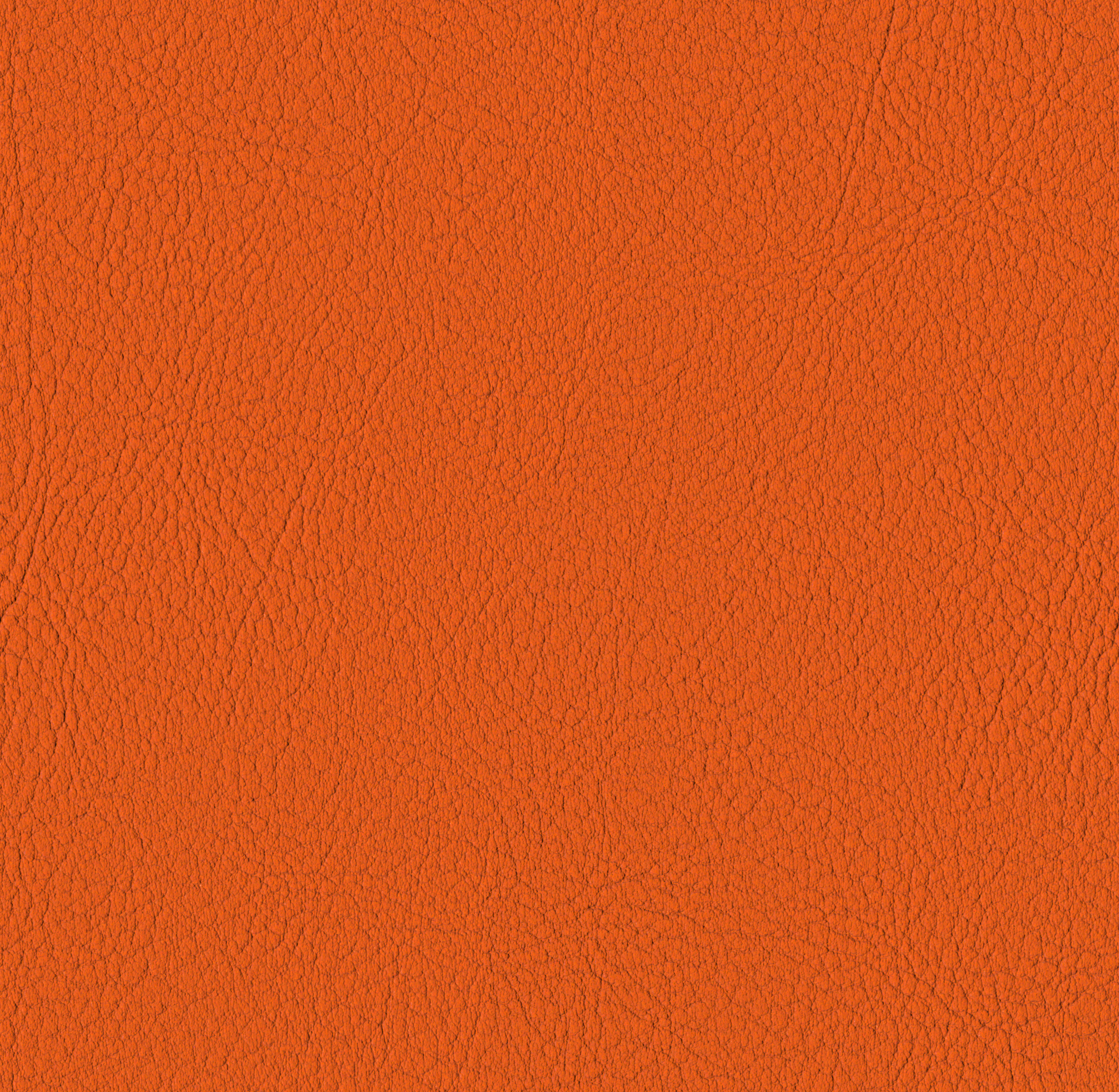 Valencia BS Orange