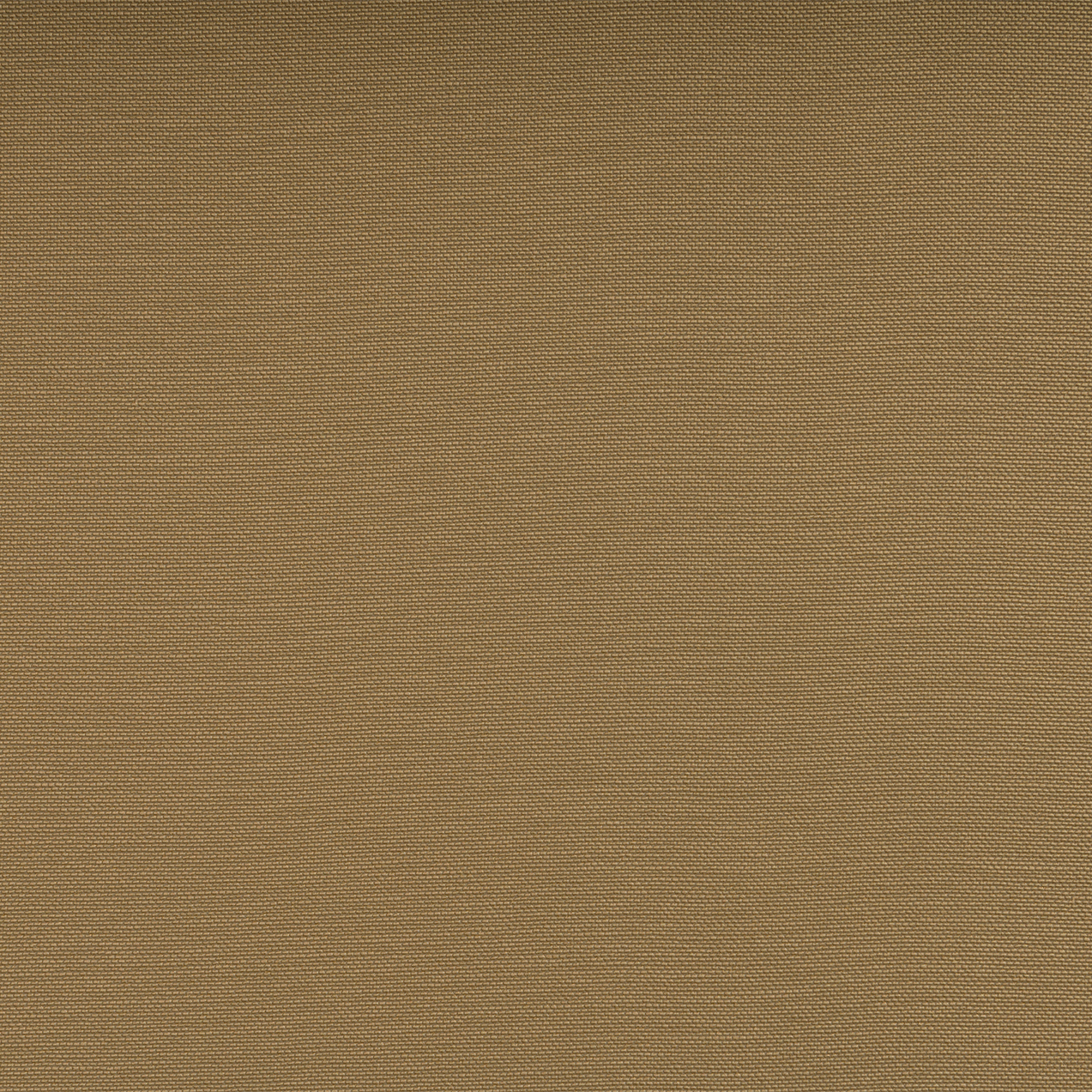 Silvertex Champagne
