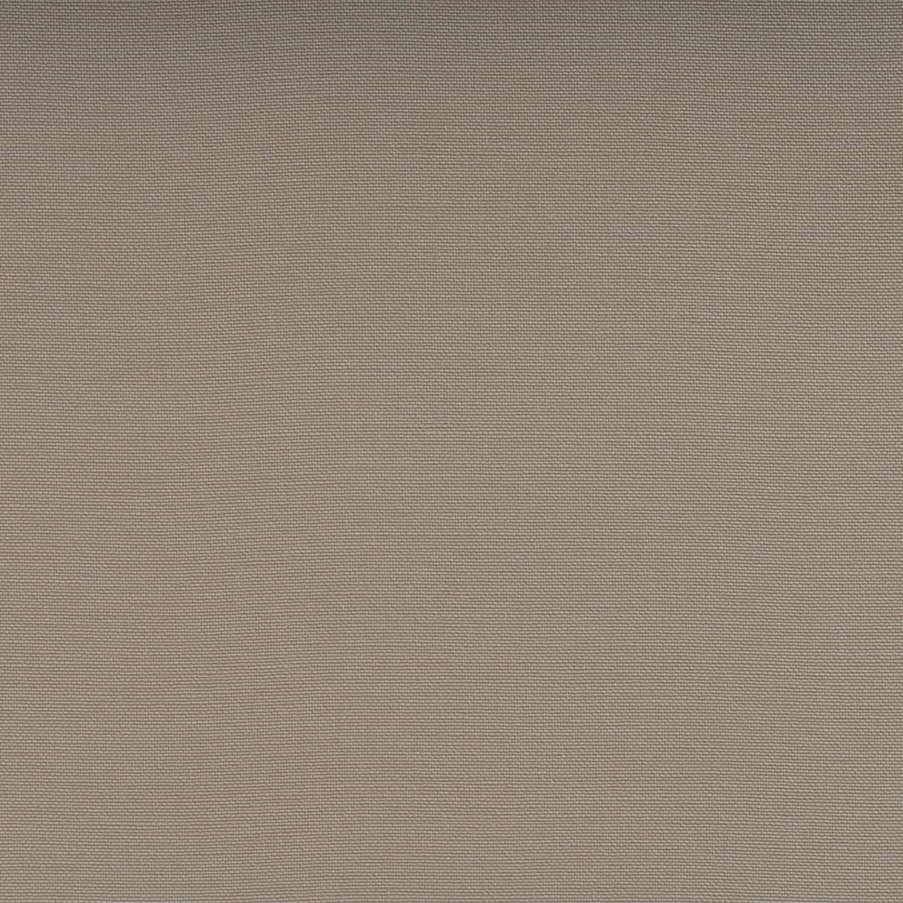 Silvertex Macadamia
