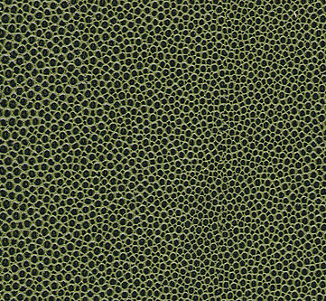 Soshagro EN green-black