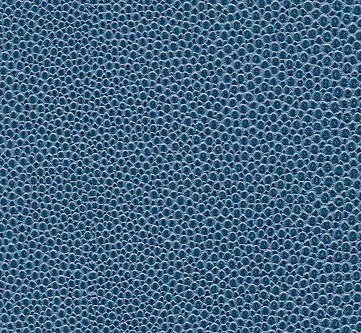 Soshagro EN sky-ocean