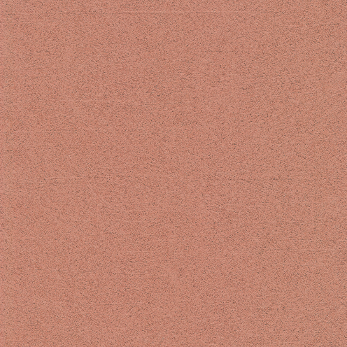Evida Fiber blush
