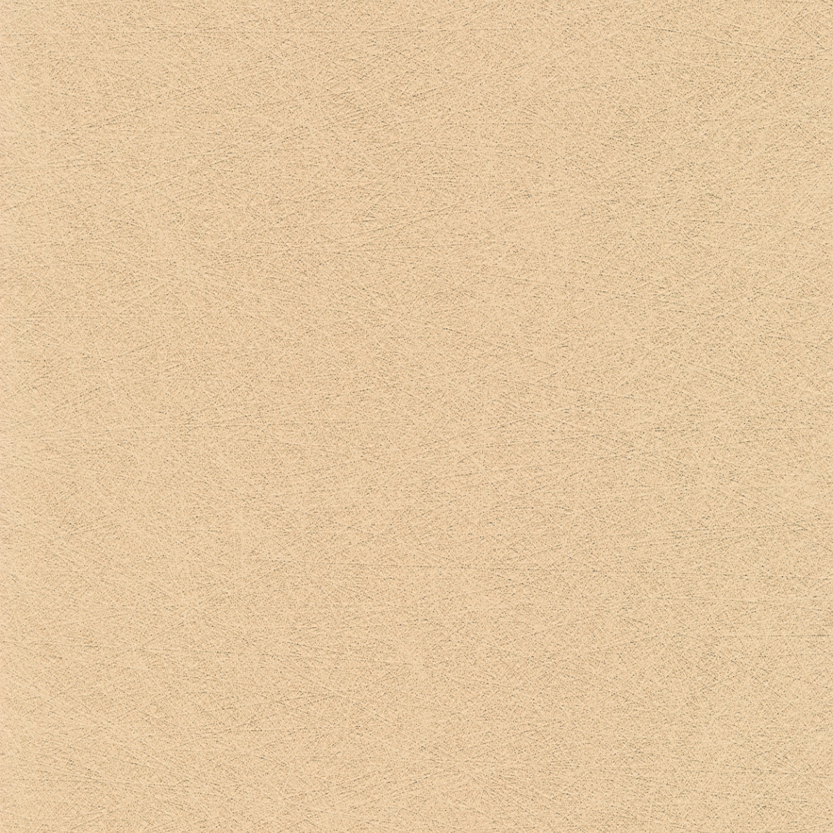Evida Fiber sand stone