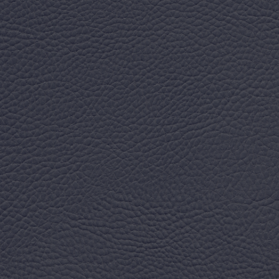 Parotega NF nightblue