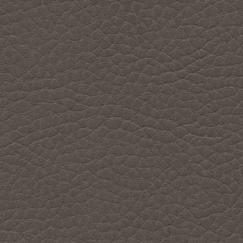 Parotega NF cinder