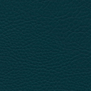 Parotega NF teal