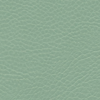 Parotega NF mint