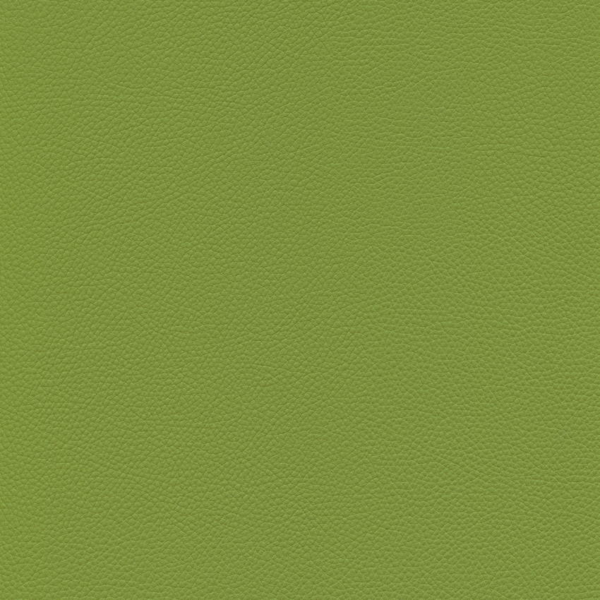 Toronto EN olive green