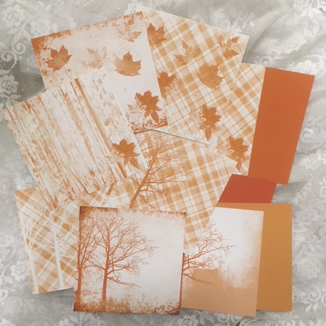 PP KD -Patterned paper with Autumn feel - 5