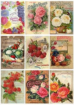 Reprint Klippark KP0004 Vintage labels 