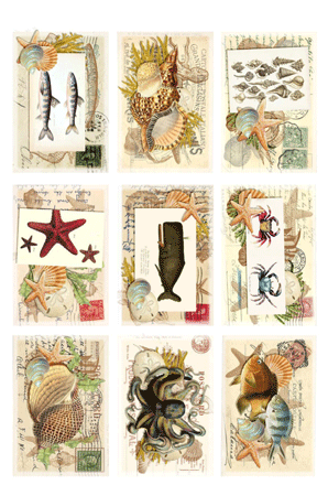 Reprint Klippark KP 0033 -Sea Life 