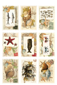 Reprint Klippark KP 0033 -Sea Life 