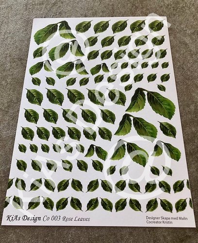 KiAs Design C0 003 Rose Leaves
