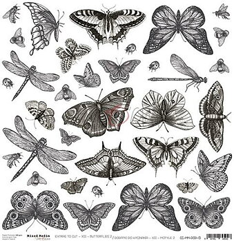  CoC KP-CO - Mixed Media - Butterflies 2