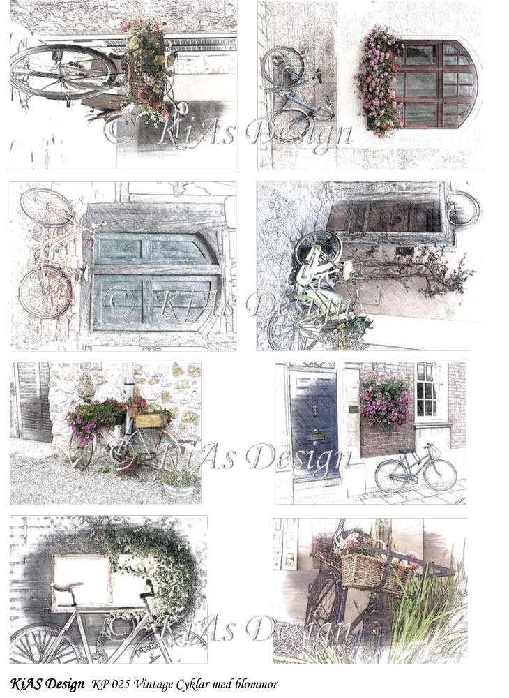 KD Klippark 025 Vintage cyklar med blommor