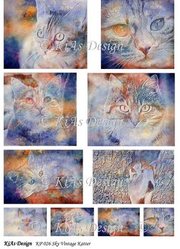 KD Klippark 026 Sky Vintage Katter