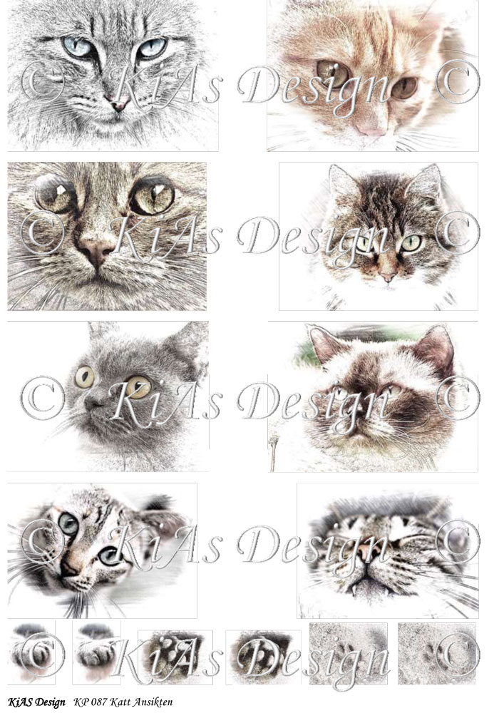 KD Klippark 087 Katt Ansikten
