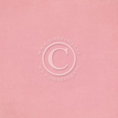 PD Palette pink 4