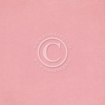 PD Palette pink 4