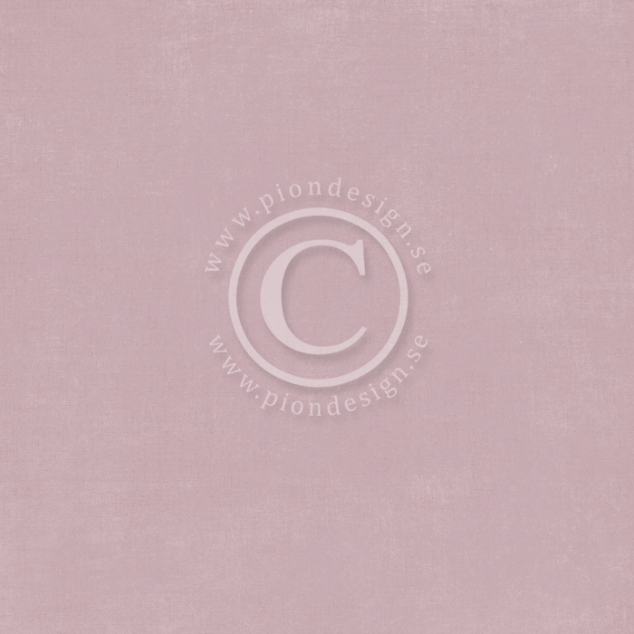 PD Palette Dusty roose 2