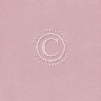 PD Palette Dusty roose 2
