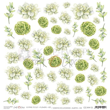  CoC KP-CO - Flowers 13