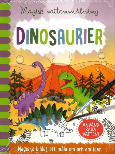MAGICAL WATER PAINTING - DINO