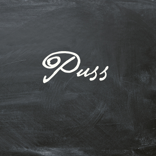 KORT MINI "PUSS" black