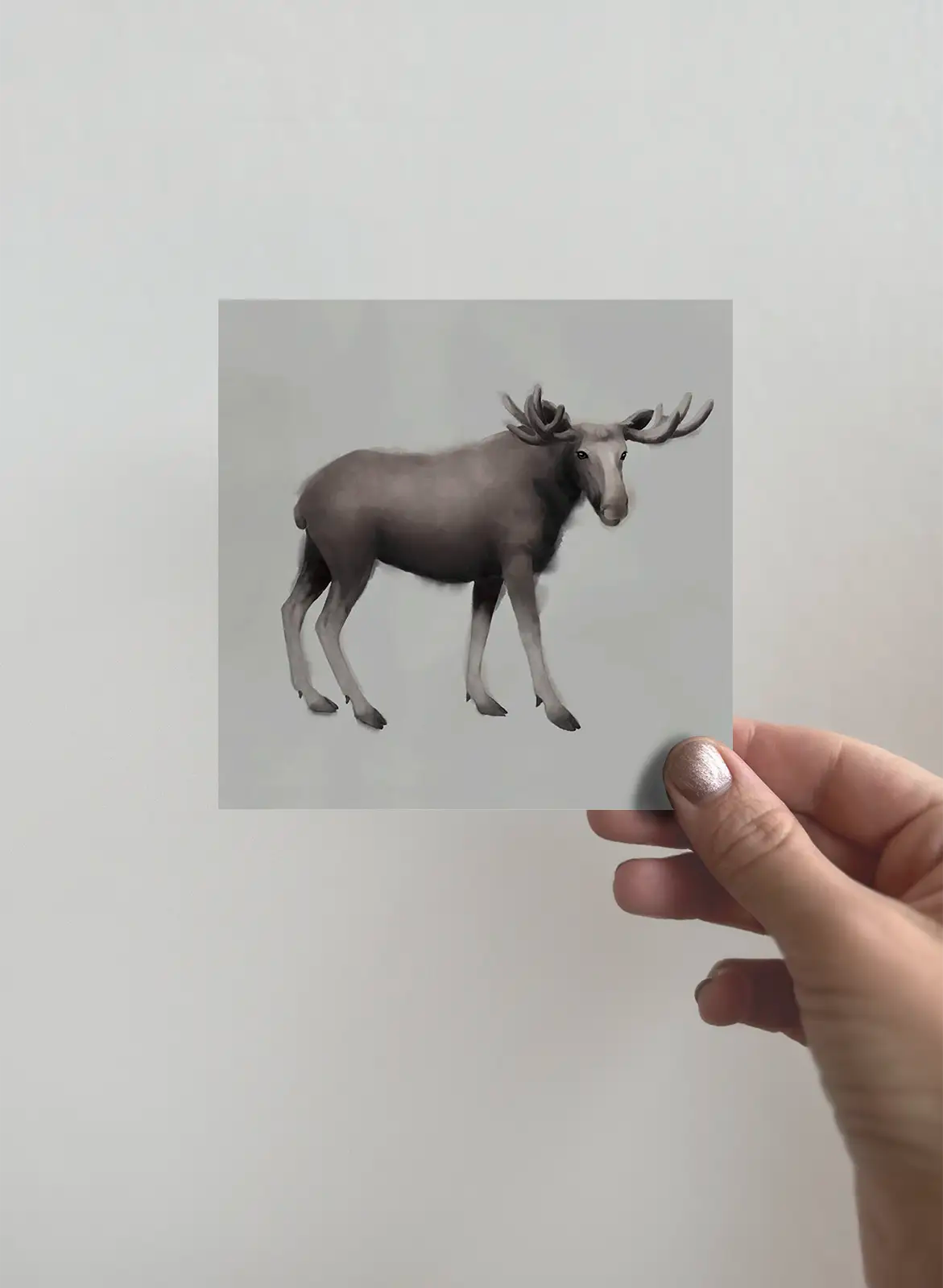 Card, the Moose - Kunskapstavlan