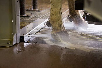 Lely Meteor