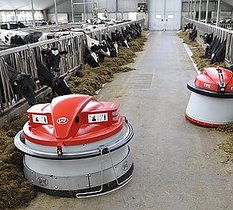 Lely Juno